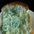 さぁ★たぁ★'s cooksnap of when they made 青のりじゃこトースト.
