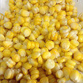 ちぇんばあ's cooksnap of when they made とうもろこしから　上手に実をはずすぞ！.