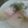 クックO0Y741☆'s cooksnap of when they made ゆで鶏サラダ☆ハーブヨーグルトソース.