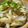 低カロ探検隊's cooksnap of when they made 新たまねぎとツナの混ぜるだけ簡単パスタ.