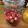Ｍ_siro's cooksnap of when they made 自家製果実酒　とろけるイチゴ.