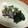 おはなすき's cooksnap of when they made 基本のあじのたたき.