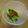 みぃままちゃい☆'s cooksnap of when they made 三つ葉大量消費.