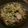 mocha_tessa's cooksnap of when they made 茄子の豚バラ巻き☆薬味をたっぷりのせて.
