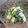 りなこっぺ's cooksnap of when they made たけのこと菜の花の＊春色サラダ＊.