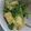 クック5U2JGM☆'s cooksnap of when they made 超簡単！三つ葉炒め.