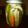 peko:01's cooksnap of when they made 簡単！ピクルス.