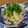 ダイナマイト漆黒's cooksnap of when they made 旨い！たけのこと豚バラのニンニク味噌炒め.