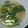 サカサ嫁's cooksnap of when they made 青梗菜とツナの中華煮.