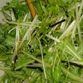 がねがねさと's cooksnap of when they made みず菜サラダ.