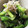 9vanilla's cooksnap of when they made 小松菜とじゃこの炒め物.