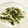 papikun's cooksnap of when they made 春菊と長芋のさっぱり梅和え.