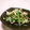 赤い電話's cooksnap of when they made 食卓にもぅ一品♪水菜とエノキの簡単お浸し.