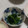 クックS31G7A☆'s cooksnap of when they made 簡単★ほうれん草のおひたし.