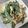 P太郎ママ's cooksnap of when they made スナップえんどうと卵のスパイスマヨサラダ.