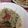 クックPXOXSL☆'s cooksnap of when they made 大根の梅しそサラダ。.