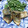 tukishimamiyabi's cooksnap of when they made 鯖の竜田揚げ.
