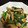 クックCRJ0J4☆'s cooksnap of when they made 超簡単！小松菜の炒め煮♪.