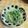 オレンジリング's cooksnap of when they made 大根と水菜のマヨポンサラダ.