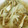 ホタッテ's cooksnap of when they made 簡単もやしと しめじ 玉ねぎの 白だし煮.