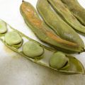 低カロ探検隊's cooksnap of when they made 豆知識♥そら豆の加熱方法＼(^o^)／.