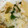 yoppy0908's cooksnap of when they made 超簡単！竹の子と油揚げのちらし寿司.