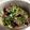 yunohasan's cooksnap of when they made 男が料理！砂肝の醤油煮.