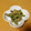 mahopyon's cooksnap of when they made レンジで簡単☆いんげんの胡麻和え.