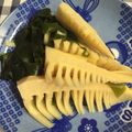 キッチンゼタジュンズ's cooksnap of when they made 簡単に料亭の味☆若竹煮.