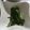 ねむりりす's cooksnap of when they made 簡単♪ピーマンの塩昆布和え.
