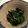 anhouse's cooksnap of when they made セリの海苔和え.