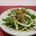 赤い電話's cooksnap of when they made 新玉＆水菜のさっぱりしゃきしゃきサラダ.