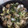 食いしん坊ゆー☆'s cooksnap of when they made 魚介のアヒージョ.