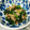 もぐ・ω・くま's cooksnap of when they made ツナとほうれん草のお浸し.