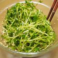 まひわ's cooksnap of when they made 豆苗の中華サラダ.