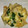 MiMi…'s cooksnap of when they made 新玉葱と豚肉の卵とじ炒め.
