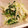 highzi's cooksnap of when they made 水菜としらすのおひたし.