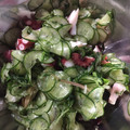bbkoman's cooksnap of when they made 簡単な胡瓜とタコの酢の物.