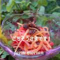もりあん農園's cooksnap of when they made にんじんのラムフルーツサラダ.