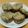 ドルフィンサーモン's cooksnap of when they made ゴマときなこの 簡単クッキー.
