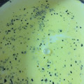 リエルル's cooksnap of when they made 簡単！とろ〜り濃厚！かぼちゃのポタージュ.