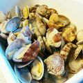 ＊ちいさなしま＊'s cooksnap of when they made レンジでチンするあさりの酒蒸し.