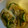 にのおり's cooksnap of when they made セロリときゅうりの中華風サラダ.