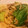 みけねこゆぅか's cooksnap of when they made 豚肉と青梗菜の和風スパゲティ.