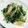 Jyohana's cooksnap of when they made 水菜炒め.