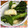 まゆちゃろ's cooksnap of when they made ★イカとブロッコリーの中華風炒め★.