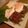 kojirochan's cooksnap of when they made ほっぺが落ちる絶品ハンバーグ♪.