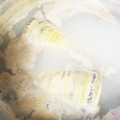 michiko’s♪'s cooksnap of when they made 自宅で茹でた筍の保存方法.