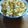 yfSTELLATA's cooksnap of when they made ◆簡単◆うまうま◆鶏ごぼうご飯.