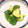 ステルトミチル's cooksnap of when they made わさび好きに♪きゅうりのわさび漬け.